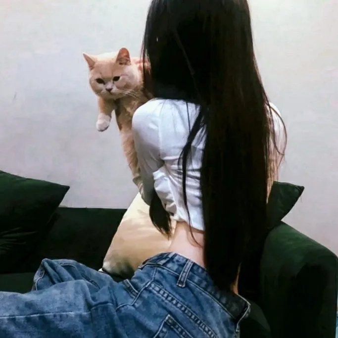 疯狂马迷